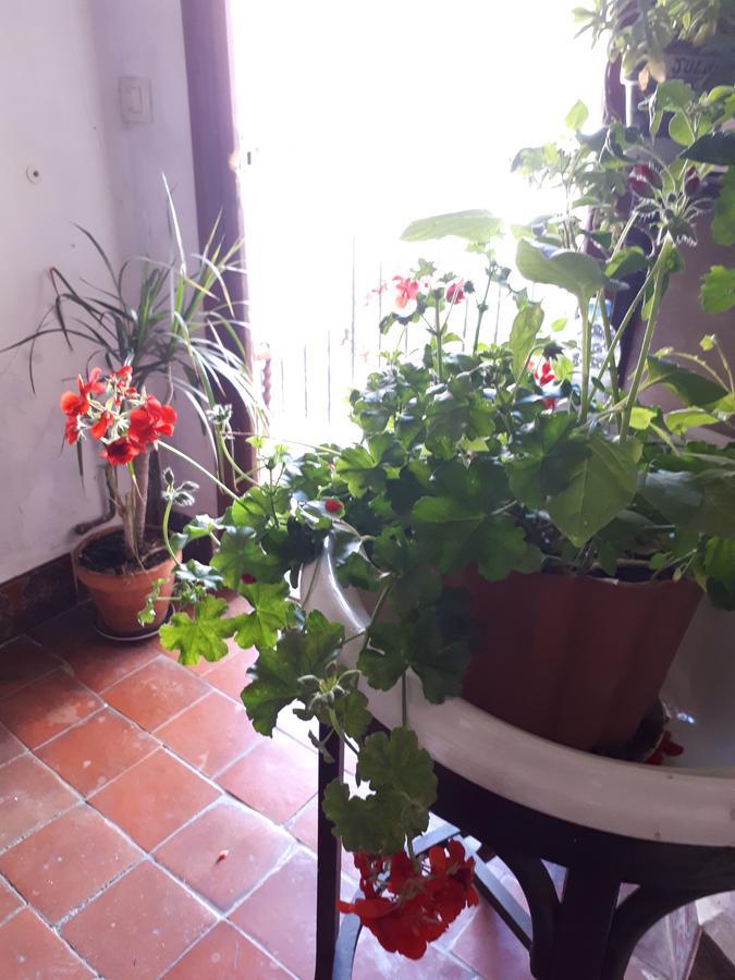 Fonda Del Tozal Hotell Teruel Exteriör bild